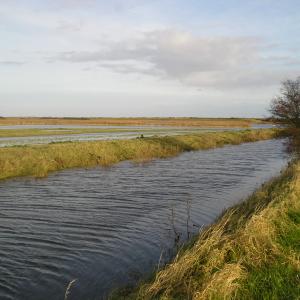 Bursting at the seams