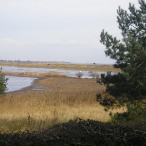Flooding at Dunwich