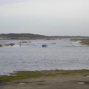 I'm sure the road's here somewhere