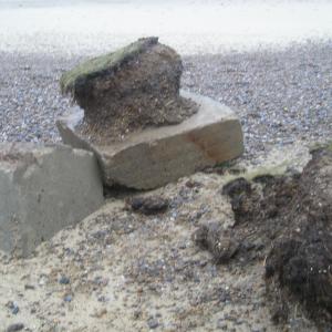 What the tanks couldnt do