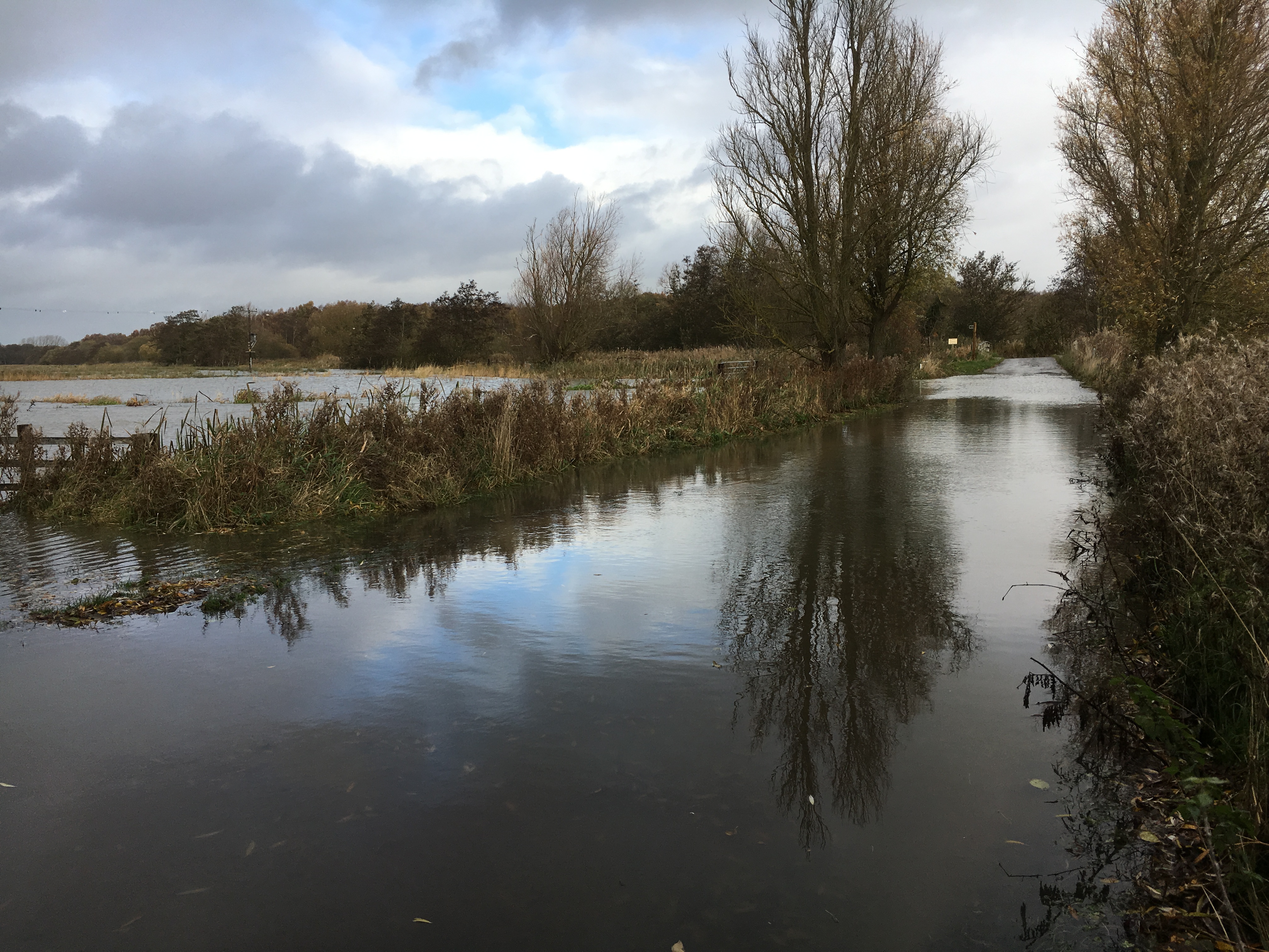 Old Minsmere River cleaned out